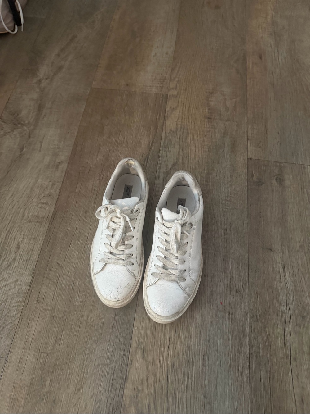 Steve Madden white sneaker